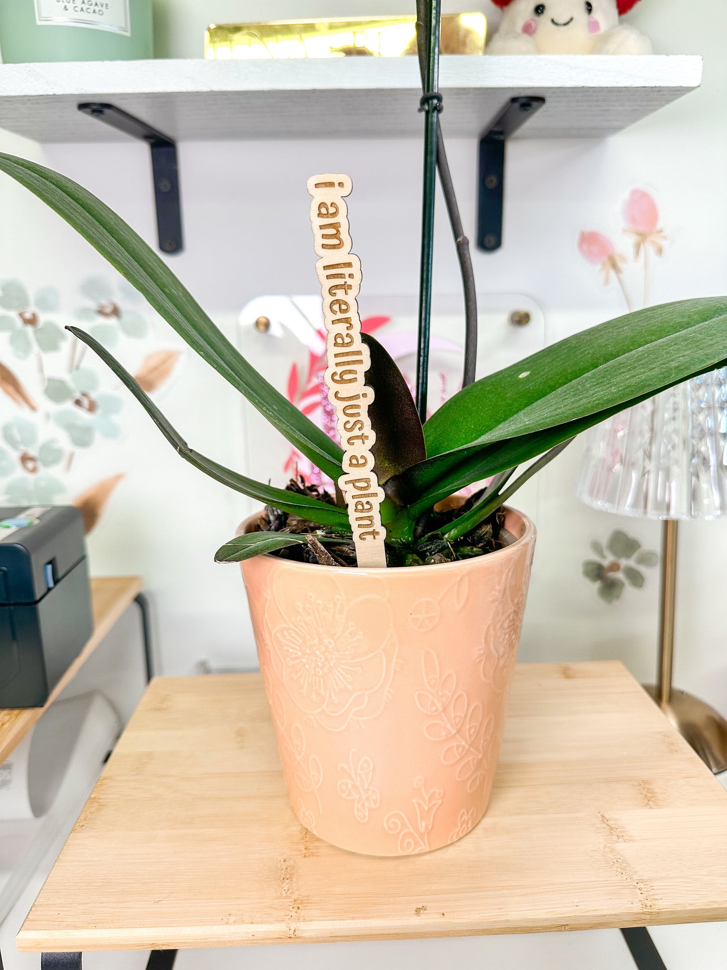 Funny Plant Stakes Luna Beam Creations